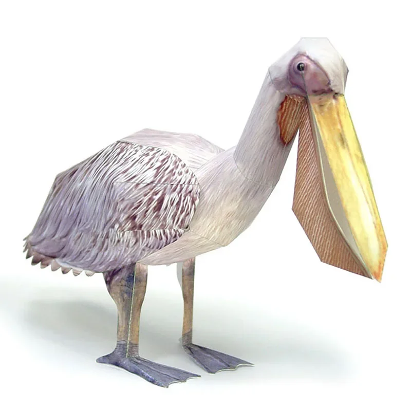 Art Craft With Cardboard - Wielki Biały Pelikan Ptak Model Papierowy
